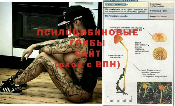 прущий лед Надым