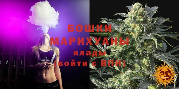 прущие грибы Навашино